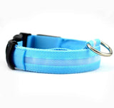 Petra store LED dog safety collar in blue with adjustable strap and metal D-ring for pets