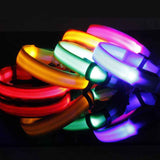 Petra store LED dog safety collar collection in various vibrant colors glowing in the dark