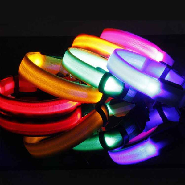 Petra store LED dog safety collar collection in various vibrant colors glowing in the dark