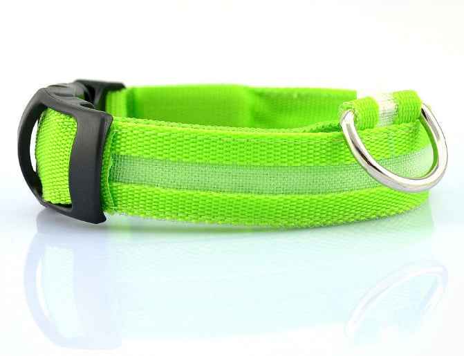 Petra store bright green LED dog safety collar with adjustable strap and metal D-ring