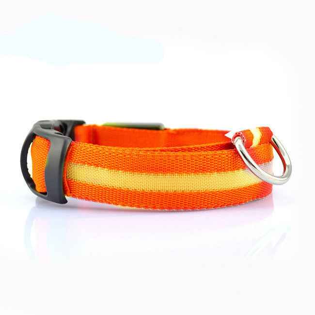Petra store orange LED dog safety collar with reflective strip and adjustable buckle for pets