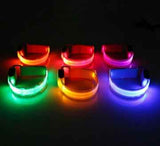 Petra store LED dog safety collar in multiple colors glowing brightly in the dark