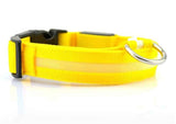 Petra store yellow LED dog safety collar with reflective strip and durable buckle