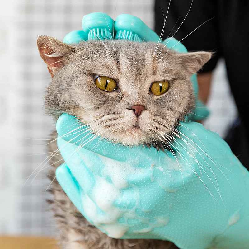 Pet Bath Glove and Brush gently washing a gray cat with yellow eyes covered in soap suds
