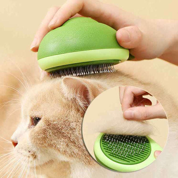 Petra store Pet Hair Brush and Hair Remover used on a beige cat to remove loose fur gently