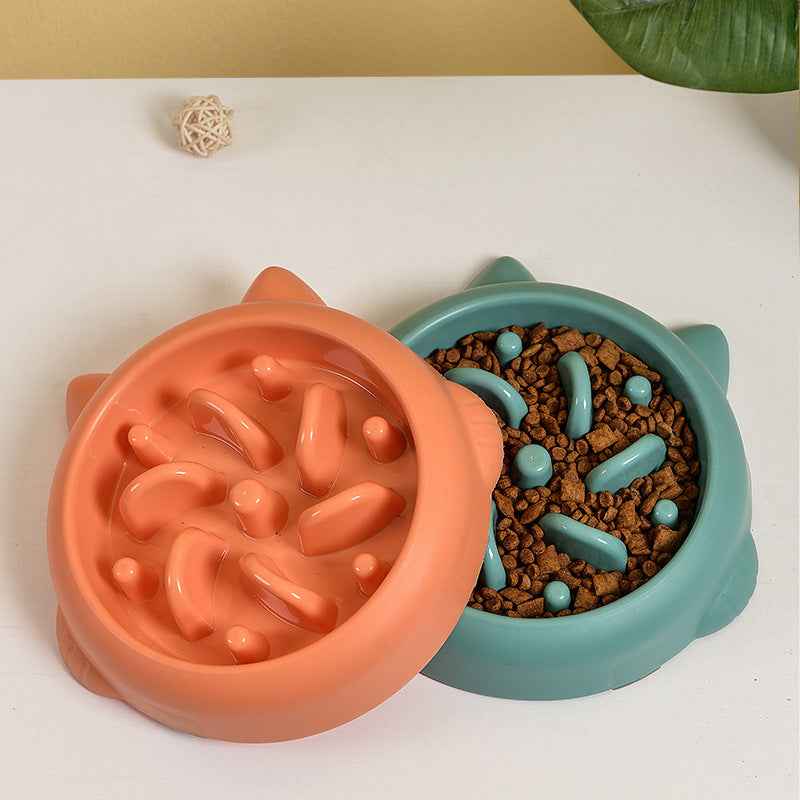 Petra store Pet Slow Feeder Bowl set in orange and teal with raised maze design for pets