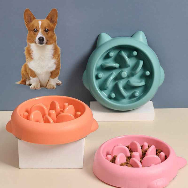 Petra store Pet Slow Feeder Bowl in teal, orange, and pink with cute pet ear design for dogs