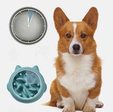 Pet Slow Feeder Bowl in blue for dogs with textured interior next to a sitting corgi and a clock