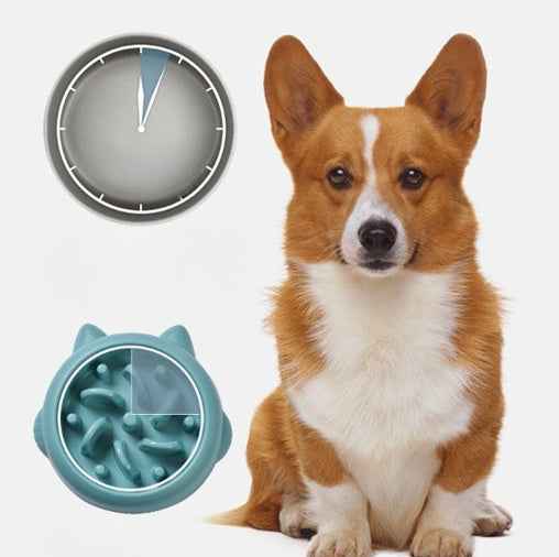 Pet Slow Feeder Bowl in blue for dogs with textured interior next to a sitting corgi and a clock