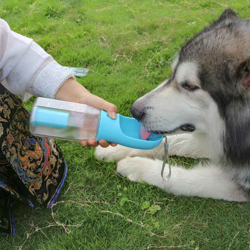 Petra store portable pet water bottle in blue being used to hydrate a large dog outdoors