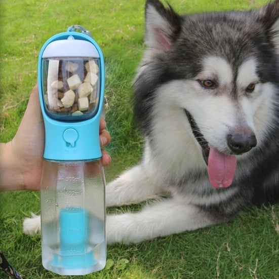 Petra store portable pet water bottle in blue held near a resting husky dog on grass