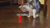 jumping ball video