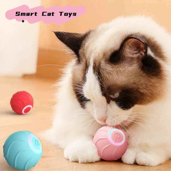 Petra store Jumping Ball For Kittens interactive smart cat toy balls pink blue red with fluffy white and brown cat