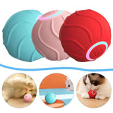 Petra store Jumping Ball For Kittens interactive LED bouncing toy set in red pink and teal for playful cats
