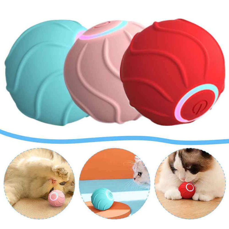 Petra store Jumping Ball For Kittens interactive LED bouncing toy set in red pink and teal for playful cats
