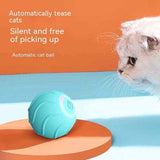 Petra store Jumping Ball For Kittens automatic teal interactive cat toy with LED motion sensor