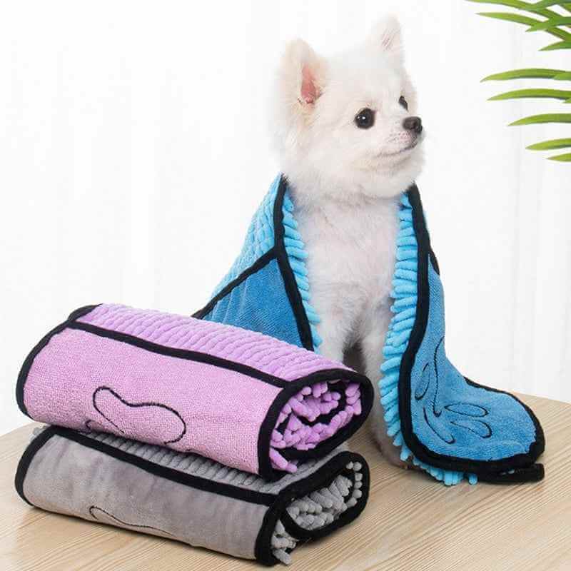 Small white dog wearing a blue Super Absorbent Pets Bathrobe from Petra store next to folded purple and gray bathrobes